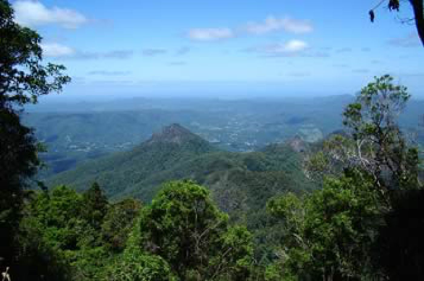 View from Mt Warning